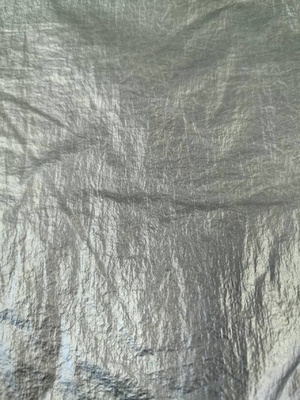 20D*20D 100%N 40GSM Nylonstof