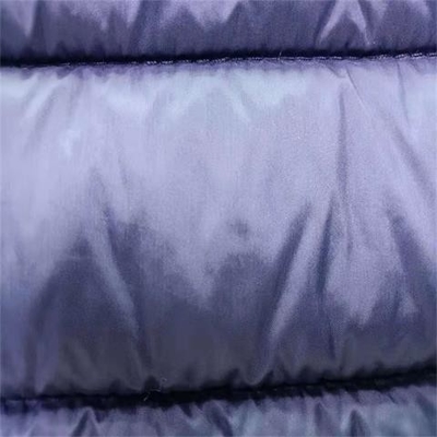 240gsm zachte Shell Material 20dx20d 137CM het Watteren Nylon Tafstof