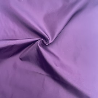 100% Polyester 50D*50D 66gm Taffeta