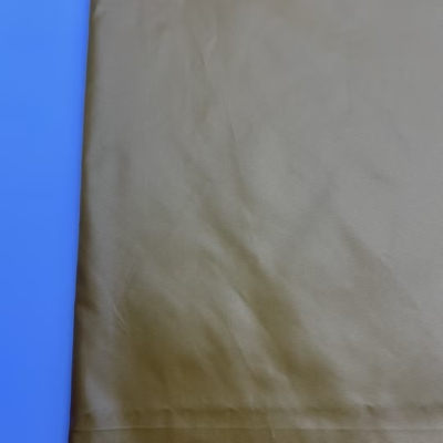 100% Polyester 50D*50D 70gm 300T Taffeta