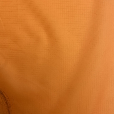 100%Polyester 20D 20D*(20D+40D) 60gm Griet polyester taffeta