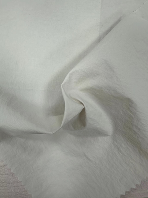 81 gm 40D*68D 100% N nylon taslon