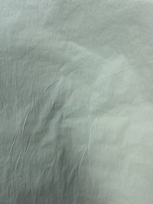 40D*40D 100%N 90GSM Nylonstof
