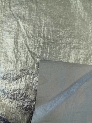 20D*20D 100%N 40GSM Nylonstof